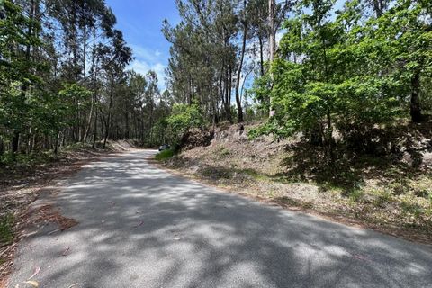 Helårsgrund i Celorico de Basto, Braga, Celorico de Basto - € 79.000 | Ref: TER_1174 - foto 2