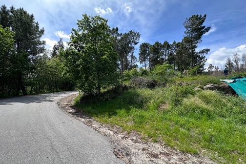 Helårsgrund i Celorico de Basto, Braga, Celorico de Basto - € 79.000 | Ref: TER_1174 - foto 3