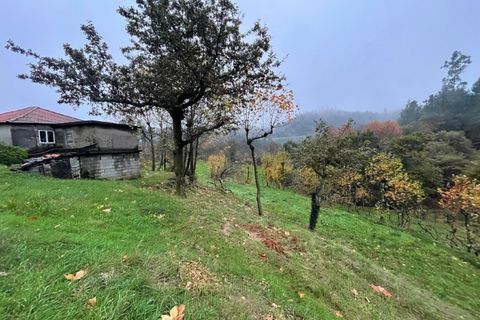 Farm i Celorico de Basto, Braga, Celorico de Basto - € 125.000 | Ref: MAS_1408 - foto 3