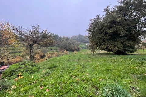 Farm i Celorico de Basto, Braga, Celorico de Basto - € 125.000 | Ref: MAS_1408 - foto 4