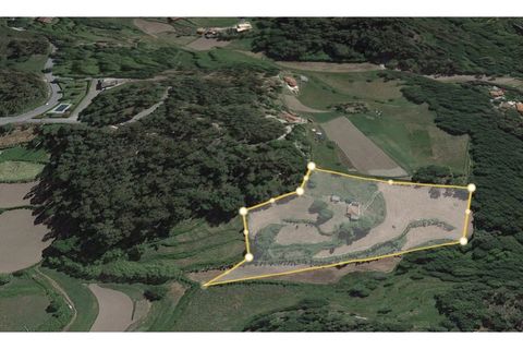 Farm i Celorico de Basto, Braga, Celorico de Basto - € 125.000 | Ref: MAS_1408 - foto 9