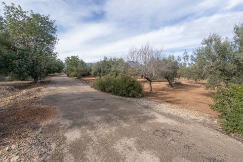 Finca i Roquetes, Tarragona, Roquetes - € 14.000 | Ref: 787 - foto 6
