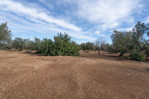Finca i Roquetes, Tarragona, Roquetes - € 14.000 | Ref: 787 - foto 3