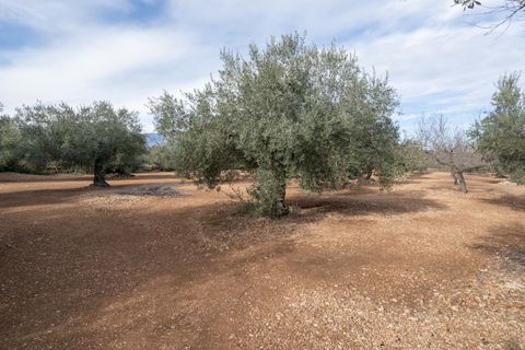 Finca i Roquetes, Tarragona, Roquetes - € 14.000 | Ref: 787 - foto 2