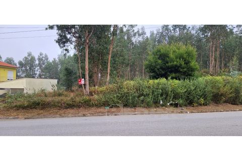 Helårsgrund i Lobao, Aveiro, Lobao - € 80.000 | Ref: 1322-TRR - foto 3