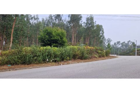 Helårsgrund i Lobao, Aveiro, Lobao - € 80.000 | Ref: 1322-TRR - foto 4