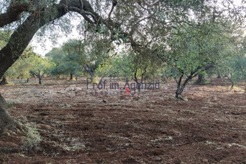 Helårsgrund i Ostuni, Brindisi, Ostuni - € 45.000 | Ref: 172533 - foto 5