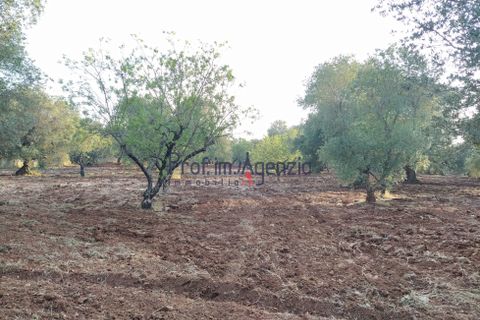Helårsgrund i Ostuni, Brindisi, Ostuni - € 45.000 | Ref: 172533 - foto 2
