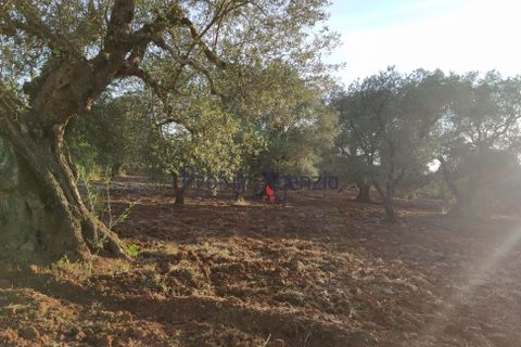 Helårsgrund i Ostuni, Brindisi, Ostuni - € 45.000 | Ref: 172533 - foto 1