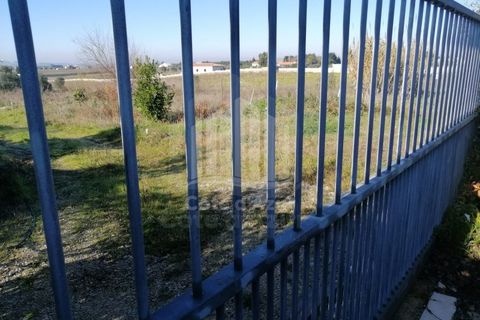 Helårsgrund i Palmela, Setubal, Palmela - € 550.000 | Ref: 8990 - foto 4