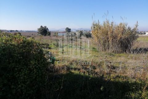 Helårsgrund i Palmela, Setubal, Palmela - € 550.000 | Ref: 8990 - foto 9