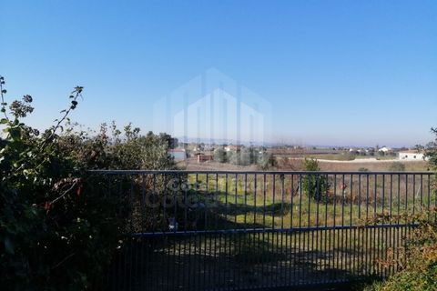 Helårsgrund i Palmela, Setubal, Palmela - € 550.000 | Ref: 8990 - foto 3