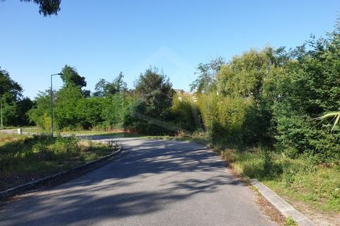 Helårsgrund i Agueda, Aveiro, Agueda - € 8.698 | Ref: 6535 - foto 1