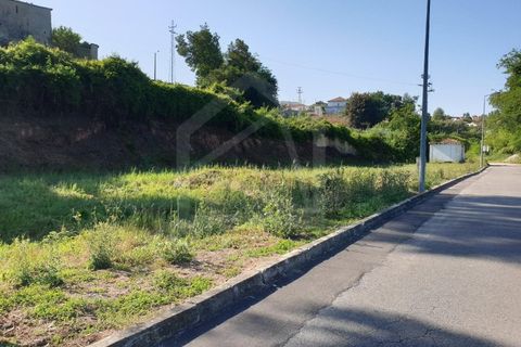 Helårsgrund i Agueda, Aveiro, Agueda - € 8.698 | Ref: 6535 - foto 4