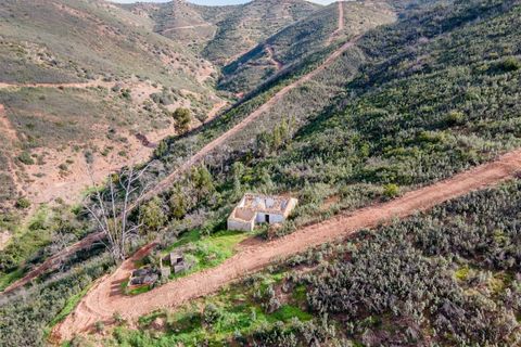 Landejendom i Monchique, Faro, Monchique - € 531.000 | Ref: VH596PTM - foto 5