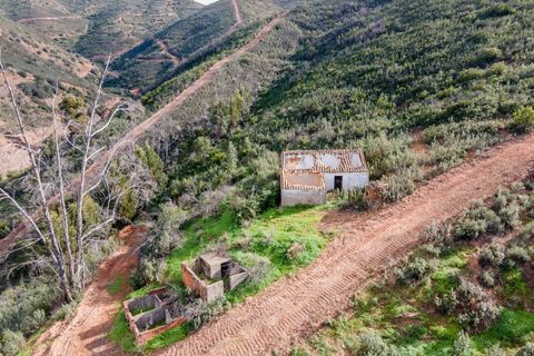 Landejendom i Monchique, Faro, Monchique - € 531.000 | Ref: VH596PTM - foto 7