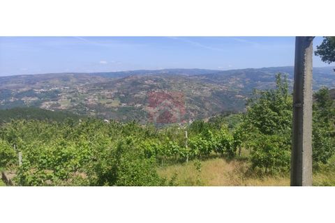 Farm i Cinfaes, Viseu, Cinfaes - € 325.000 | Ref: 037/22 - foto 4