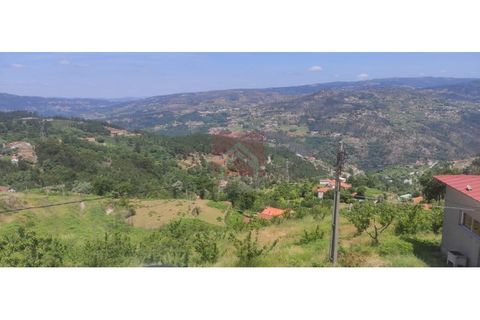 Farm i Cinfaes, Viseu, Cinfaes - € 325.000 | Ref: 037/22 - foto 5