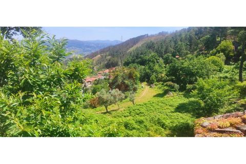 Farm i Cinfaes, Viseu, Cinfaes - € 325.000 | Ref: 037/22 - foto 6