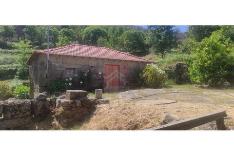Farm i Cinfaes, Viseu, Cinfaes - € 325.000 | Ref: 037/22 - foto 3