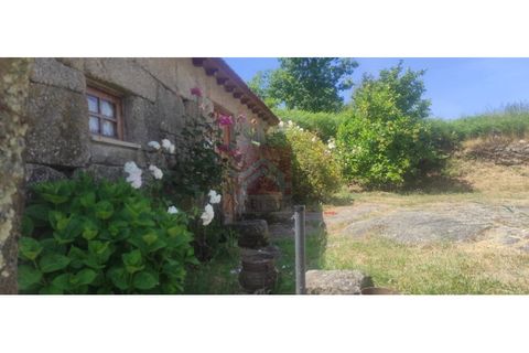Farm i Cinfaes, Viseu, Cinfaes - € 325.000 | Ref: 037/22 - foto 8