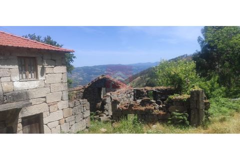 Farm i Cinfaes, Viseu, Cinfaes - € 325.000 | Ref: 037/22 - foto 9