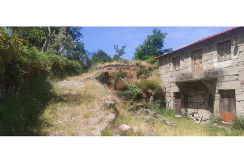 Farm i Cinfaes, Viseu, Cinfaes - € 325.000 | Ref: 037/22 - foto 10