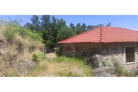 Farm i Cinfaes, Viseu, Cinfaes - € 325.000 | Ref: 037/22 - foto 11