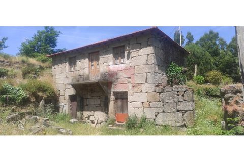 Farm i Cinfaes, Viseu, Cinfaes - € 325.000 | Ref: 037/22 - foto 2