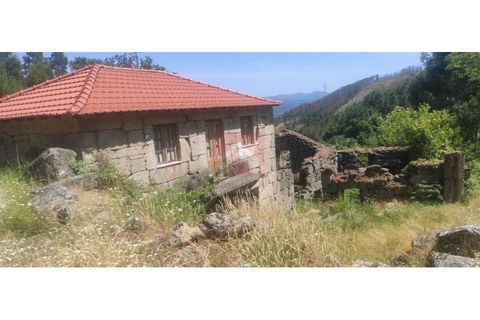 Farm i Cinfaes, Viseu, Cinfaes - € 325.000 | Ref: 037/22 - foto 12