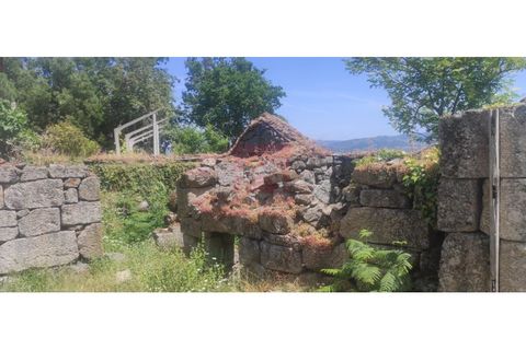 Farm i Cinfaes, Viseu, Cinfaes - € 325.000 | Ref: 037/22 - foto 13
