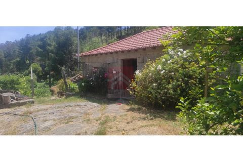 Farm i Cinfaes, Viseu, Cinfaes - € 325.000 | Ref: 037/22 - foto 1