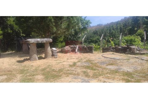 Farm i Cinfaes, Viseu, Cinfaes - € 325.000 | Ref: 037/22 - foto 17
