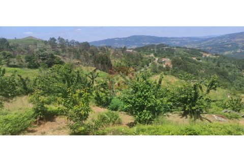 Farm i Cinfaes, Viseu, Cinfaes - € 325.000 | Ref: 037/22 - foto 18
