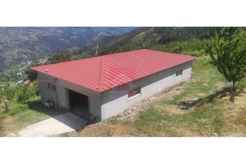 Farm i Cinfaes, Viseu, Cinfaes - € 325.000 | Ref: 037/22 - foto 20