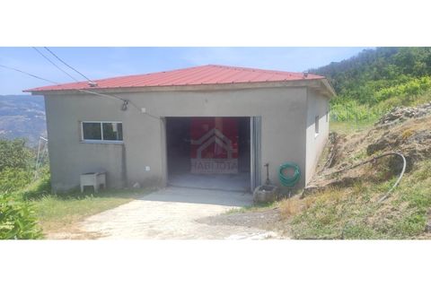 Farm i Cinfaes, Viseu, Cinfaes - € 325.000 | Ref: 037/22 - foto 22
