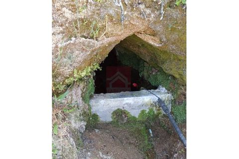 Farm i Cinfaes, Viseu, Cinfaes - € 325.000 | Ref: 037/22 - foto 31
