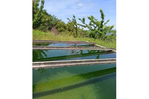 Farm i Cinfaes, Viseu, Cinfaes - € 325.000 | Ref: 037/22 - foto 32
