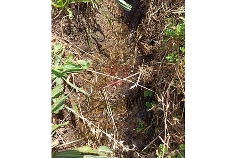 Farm i Cinfaes, Viseu, Cinfaes - € 325.000 | Ref: 037/22 - foto 33