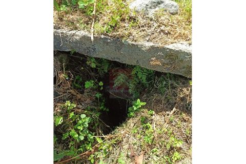 Farm i Cinfaes, Viseu, Cinfaes - € 325.000 | Ref: 037/22 - foto 34