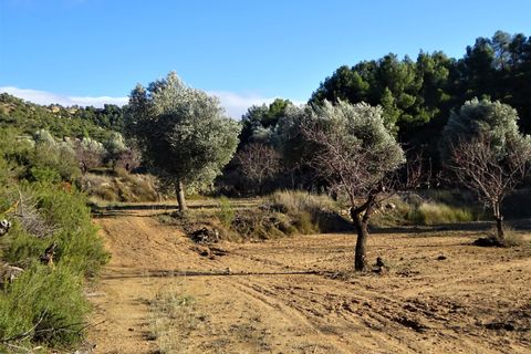 Finca i Maella, Zaragoza, Maella - € 21.000 | Ref: 0823 - foto 17