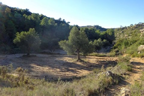 Finca i Maella, Zaragoza, Maella - € 21.000 | Ref: 0823 - foto 16