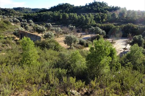 Finca i Maella, Zaragoza, Maella - € 21.000 | Ref: 0823 - foto 10