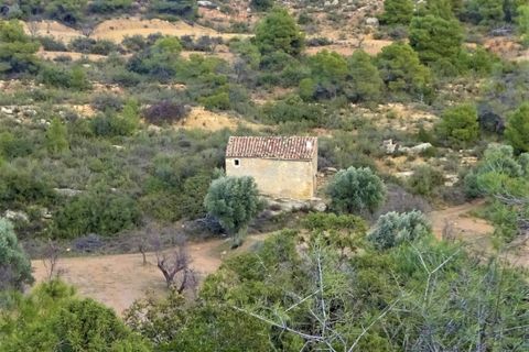Finca i Maella, Zaragoza, Maella - € 21.000 | Ref: 0823 - foto 20