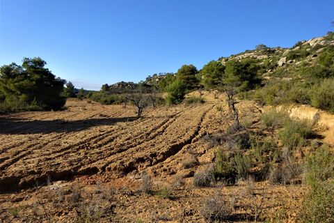Finca i Maella, Zaragoza, Maella - € 21.000 | Ref: 0823 - foto 19