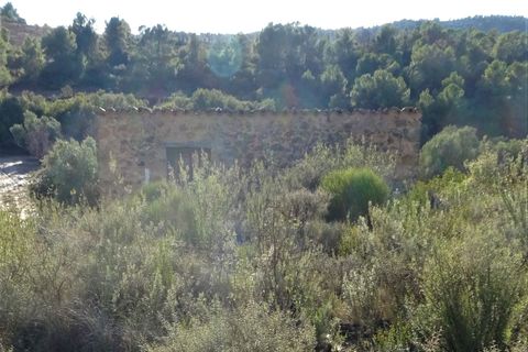 Finca i Maella, Zaragoza, Maella - € 21.000 | Ref: 0823 - foto 7