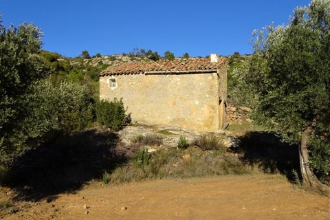 Finca i Maella, Zaragoza, Maella - € 21.000 | Ref: 0823 - foto 12