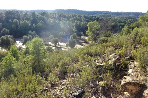 Finca i Maella, Zaragoza, Maella - € 21.000 | Ref: 0823 - foto 11