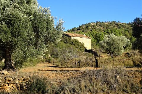 Finca i Maella, Zaragoza, Maella - € 21.000 | Ref: 0823 - foto 13