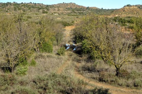 Finca i Maella, Zaragoza, Maella - € 14.000 | Ref: 0839 - foto 13